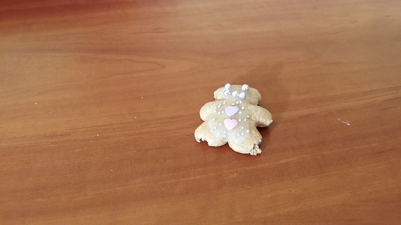 2013-12-03 13.38.37.jpg